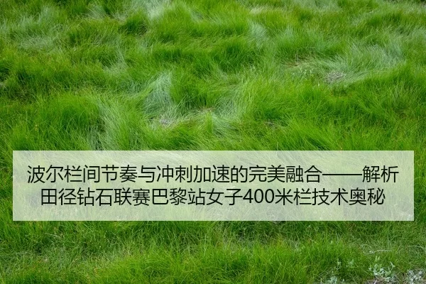 波尔栏间节奏与冲刺加速的完美融合——解析田径钻石联赛巴黎站女子400米栏技术奥秘