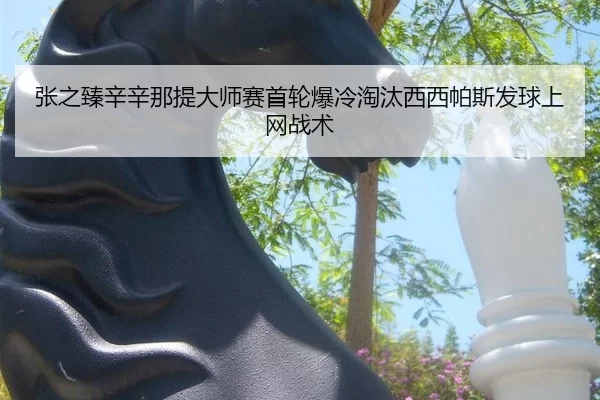 zhang-zhi-zhen-xin-xin-na-ti-da-shi-sai-shou-lun-bao-leng-tao-tai-xi-xi-pa-si-fa-qiu-shang-wang-zhan-shu-3-343.jpg